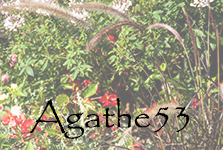 Agathe53