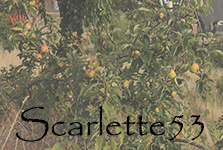Scarlette53